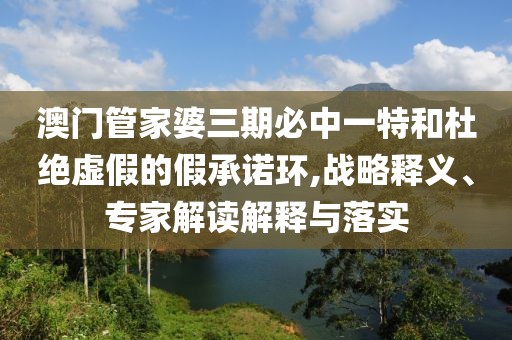 澳门管家婆三期必中一特和杜绝虚假的假承诺环,战略释义、专家解读解释与落实